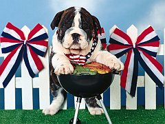 The Grill Master